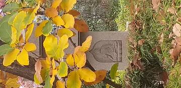 Краснодар. Японский сад. Краснодар. Японский сад.