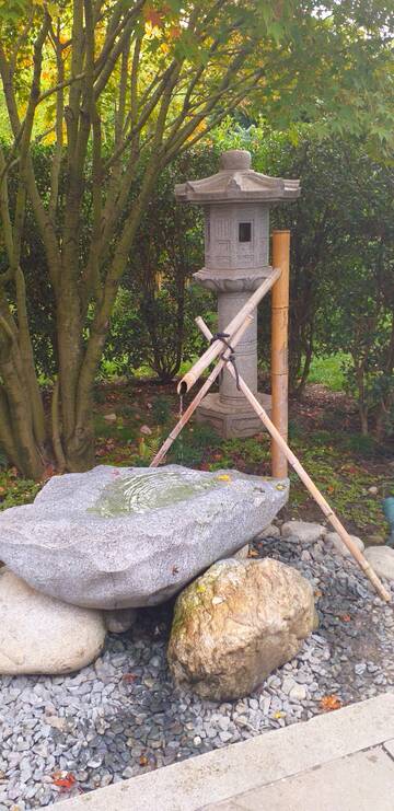 Краснодар. Японский сад. Краснодар. Японский сад.