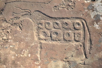 �� ������� �����������, ��� ����� �������� ������