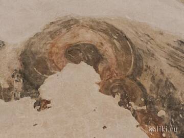 �� ������� �����������, ��� ����� �������� ������