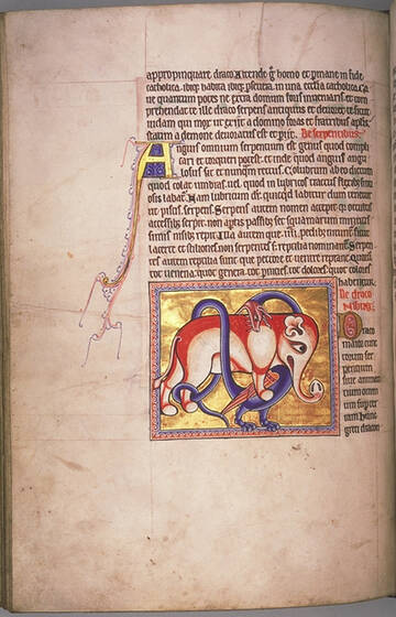 �� ������� �����������, ��� ����� �������� ������