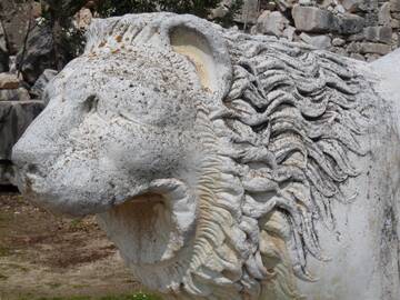 �� ������� �����������, ��� ����� �������� ������