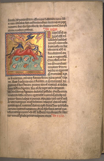 �� ������� �����������, ��� ����� �������� ������