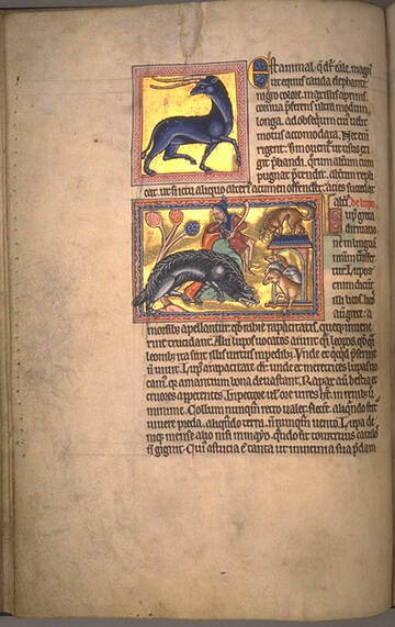 �� ������� �����������, ��� ����� �������� ������