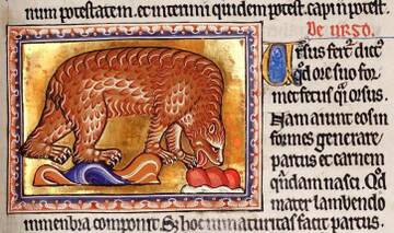 �� ������� �����������, ��� ����� �������� ������