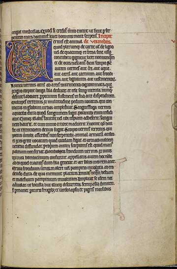 �� ������� �����������, ��� ����� �������� ������