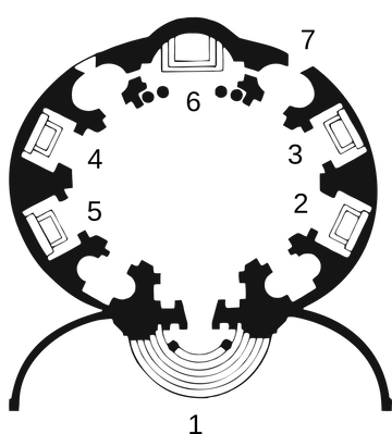 �� ������� �����������, ��� ����� �������� ������