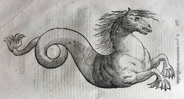 �� ������� �����������, ��� ����� �������� ������