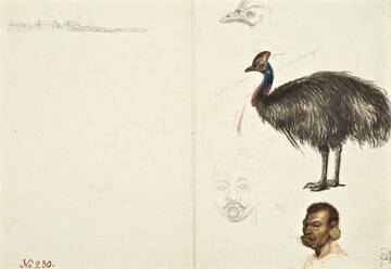 �� ������� �����������, ��� ����� �������� ������