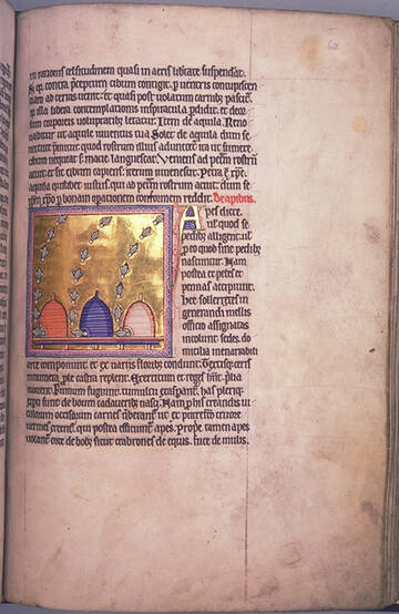 �� ������� �����������, ��� ����� �������� ������