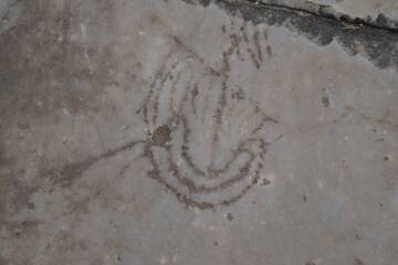 �� ������� �����������, ��� ����� �������� ������