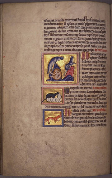 �� ������� �����������, ��� ����� �������� ������