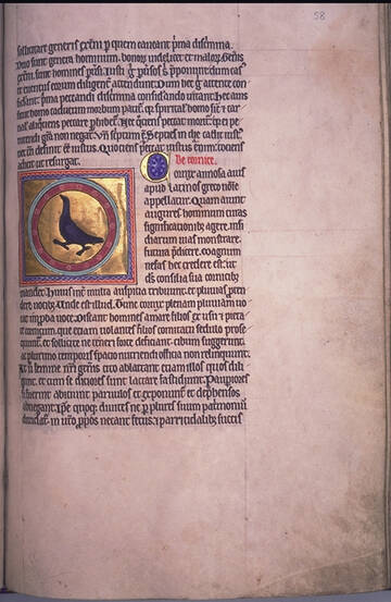 �� ������� �����������, ��� ����� �������� ������