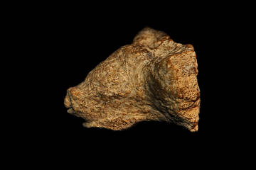 �� ������� �����������, ��� ����� �������� ������