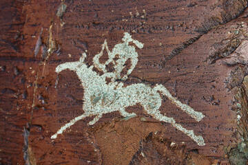 �� ������� �����������, ��� ����� �������� ������