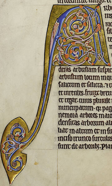 �� ������� �����������, ��� ����� �������� ������