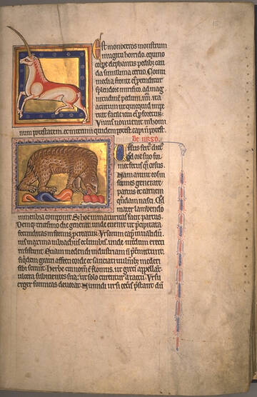 �� ������� �����������, ��� ����� �������� ������