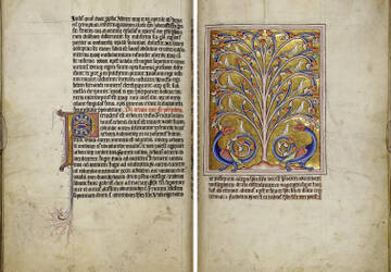 �� ������� �����������, ��� ����� �������� ������