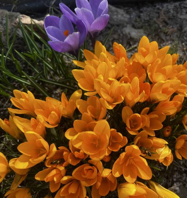 ������ ������ �������� ��������� �� ��� ������ �� �����?