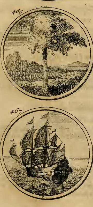 �� ������� �����������, ��� ����� �������� ������