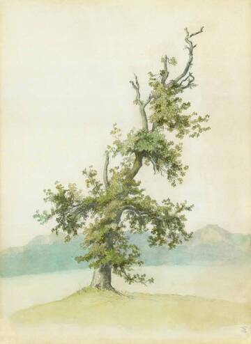 �� ������� �����������, ��� ����� �������� ������