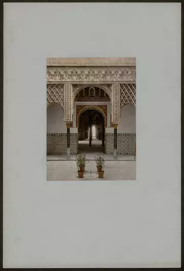 �� ������� �����������, ��� ����� �������� ������