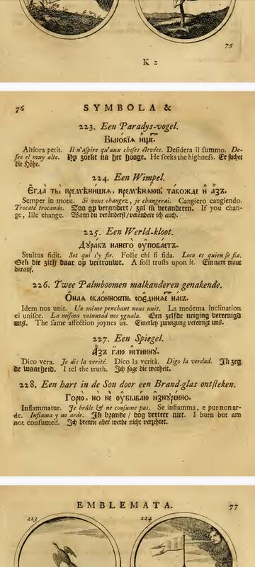 �� ������� �����������, ��� ����� �������� ������