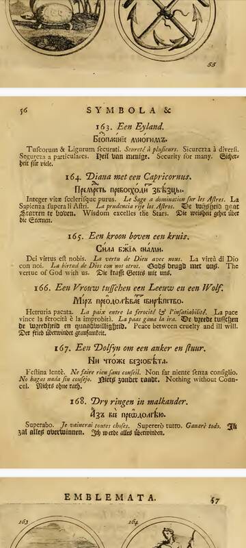 �� ������� �����������, ��� ����� �������� ������