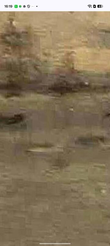 �� ������� �����������, ��� ����� �������� ������