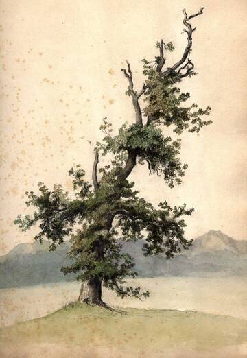 �� ������� �����������, ��� ����� �������� ������