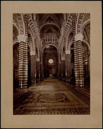 �� ������� �����������, ��� ����� �������� ������