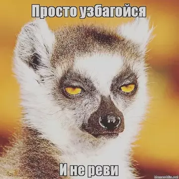 -, , . #2