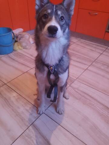 �������� ���.