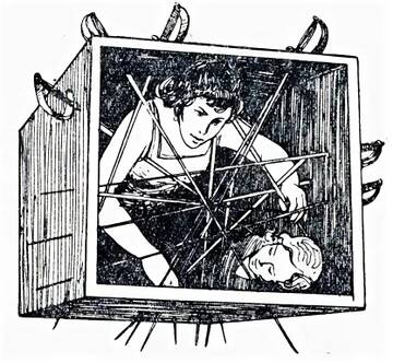 Цель жизни ...человечества. Цель жизни ...человечества.