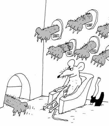 ���� ����� ...������������.