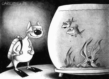 ���� ����� ...������������.