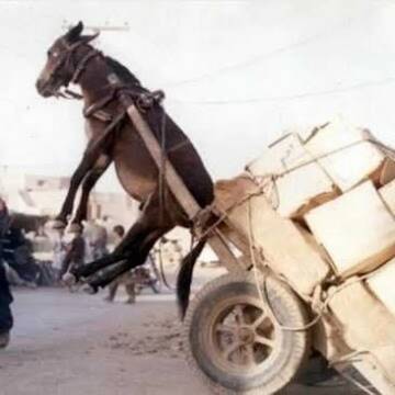 �������� �����, � ��� �������� ��������� �� ���