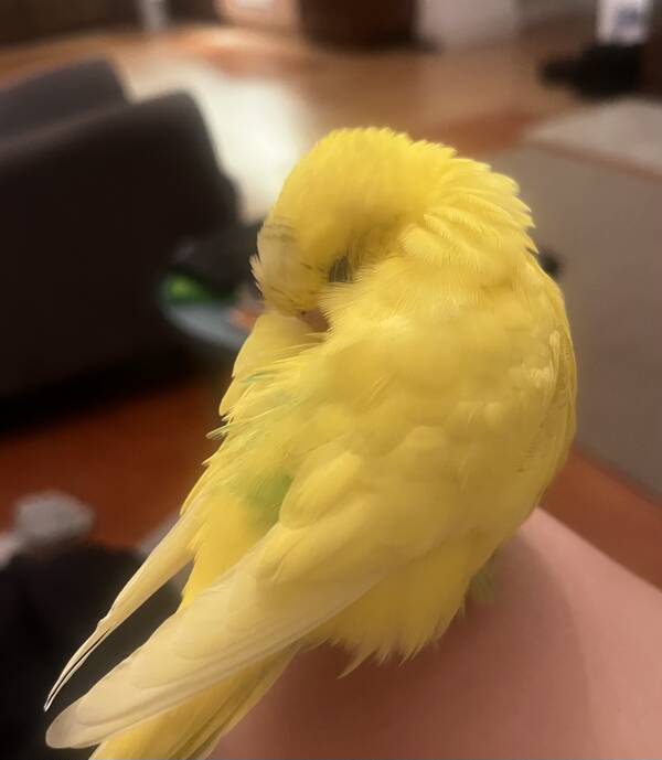 (262) ������������ ����������