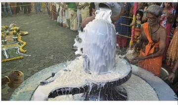 (8) ��������� � ��������: ������������, ������� � ������ ����������������