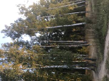 (61) ��� �������� ��� ���� �����