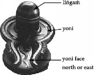 (8) ��������� � ��������: ������������, ������� � ������ ����������������