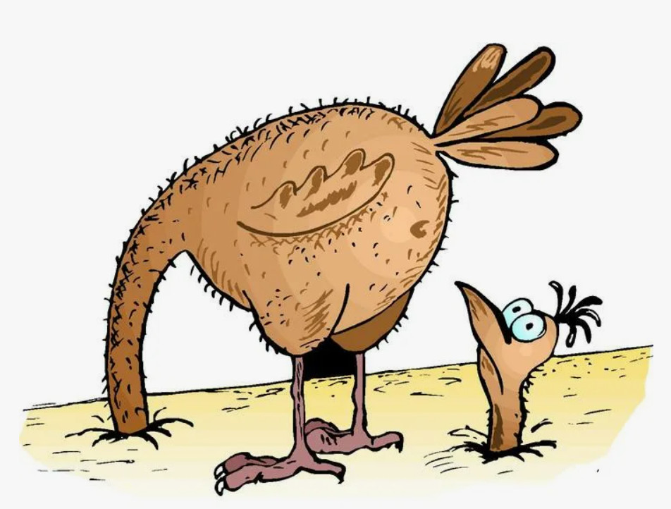 ��������� ������������ �����: ��������� � �������� ����� ��������� � �