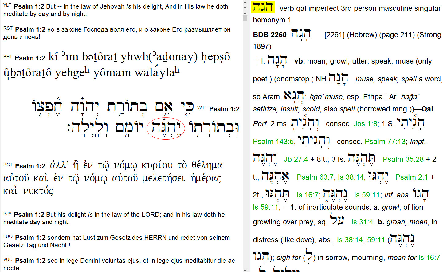 ������ ���� .