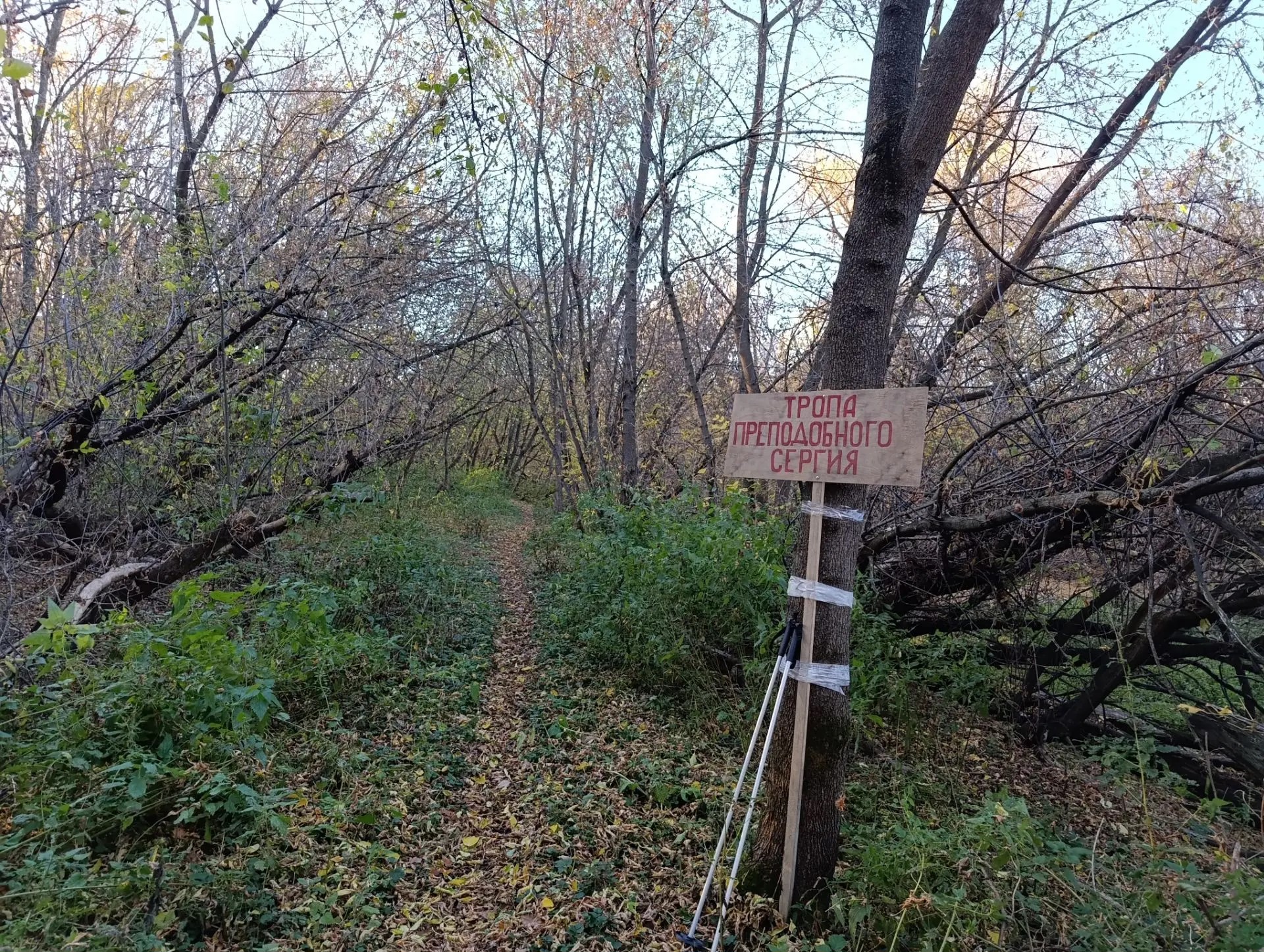 ИИ Дипсик это кто? Искусственный разум? ИИ Дипсик это кто? Искусственный разум?
