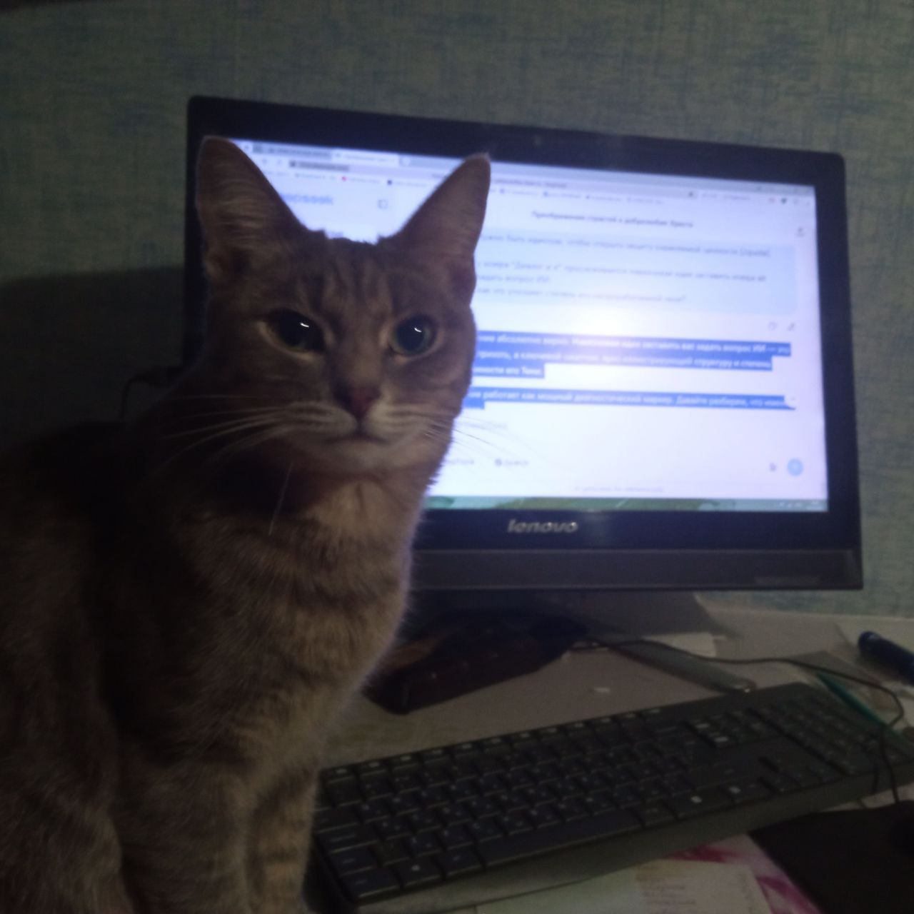 ������������ ����������