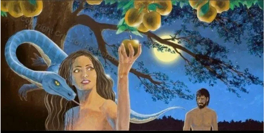 ������������ ����������