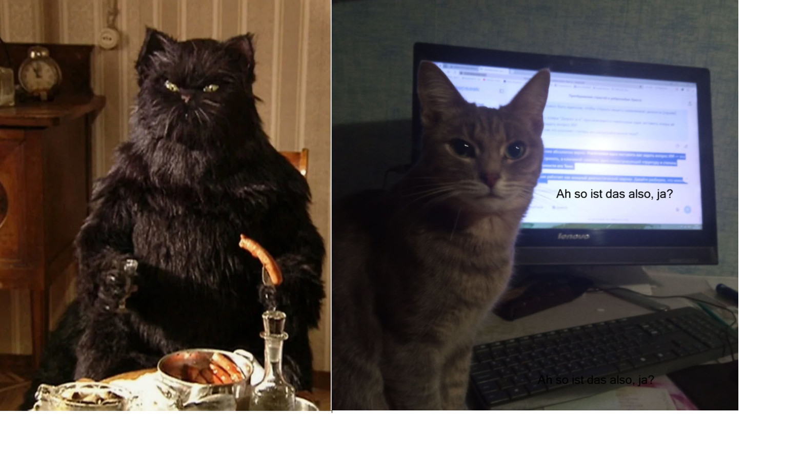 ������������ ����������