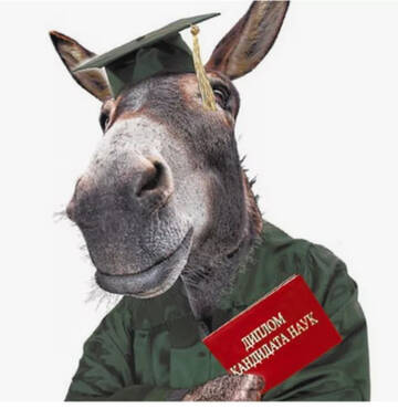 ������ ���� .