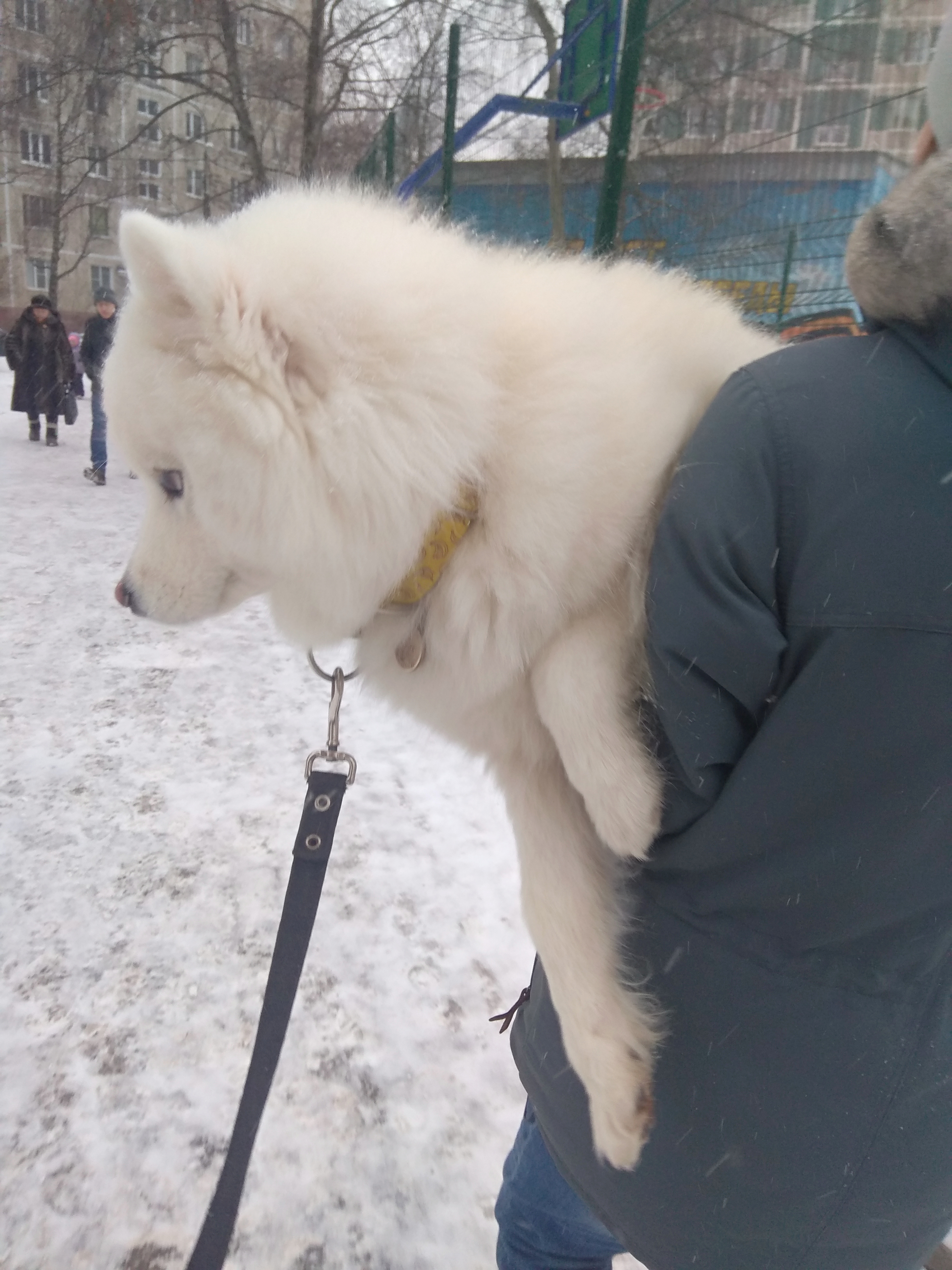 https://upforme.ru/uploads/0018/1a/00/122/75990.jpg
