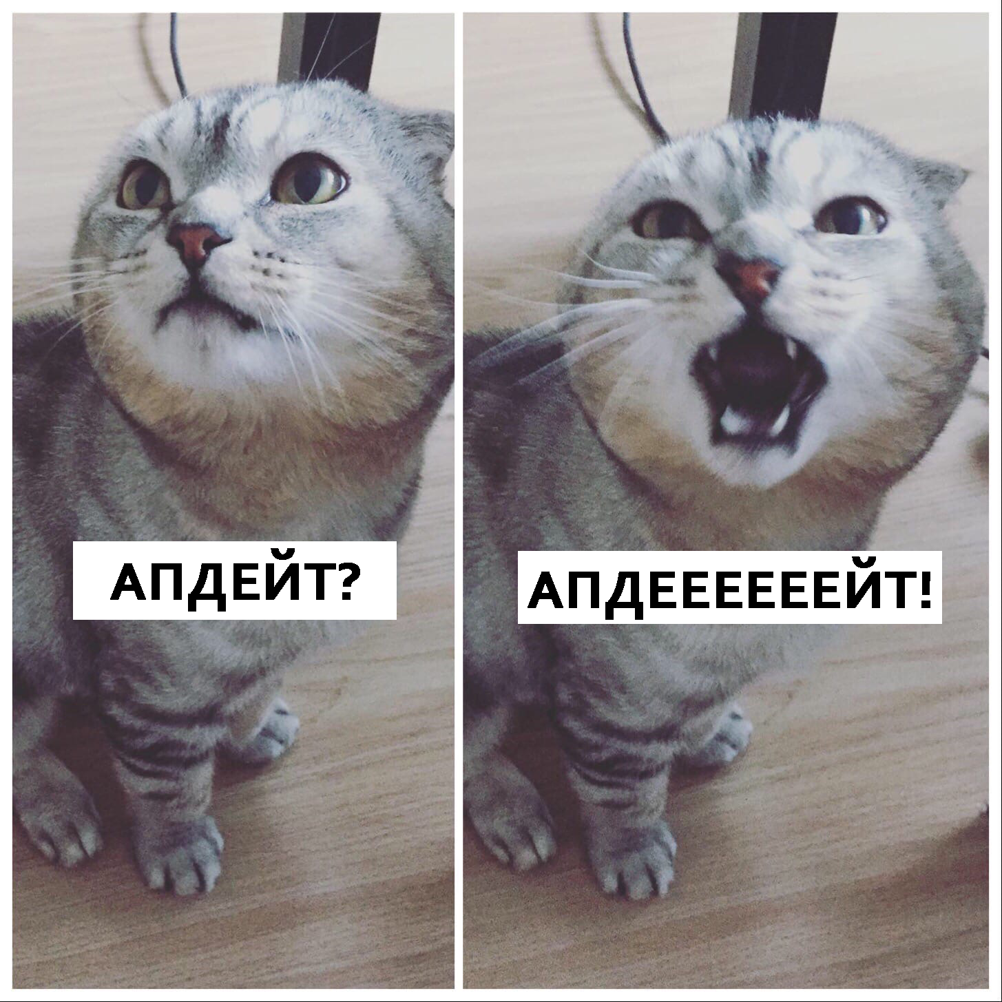 https://upforme.ru/uploads/0018/1a/00/9/41569.png